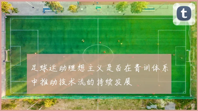 足球运动理想主义是否在青训体系中推动技术流的持续发展