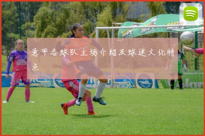 意甲各球队主场介绍及球迷文化特点