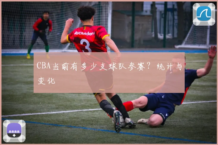CBA当前有多少支球队参赛？统计与变化