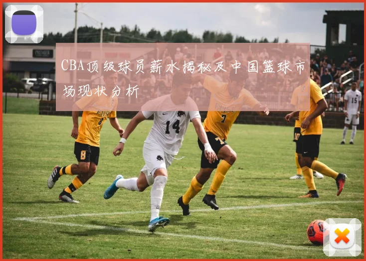 CBA顶级球员薪水揭秘及中国篮球市场现状分析